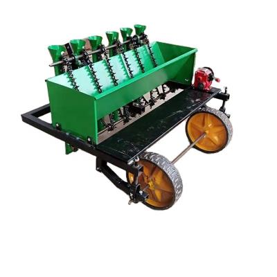 China Hot sale 6rows seed planting garlic seeder/exported garlic planter for Myanmar for sale