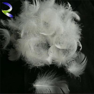 China Filling quilting bulk fabric washed goose feather low price white goose feather wholesale for sale pillow filling material for sale