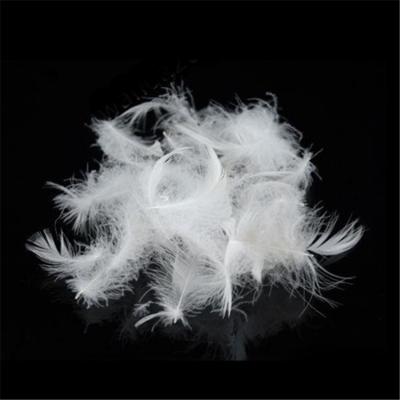 China White Washed Quilting Filling Material Duck Down Feather Washed Duck Down Feather Duck Feather And Down Slippers for sale