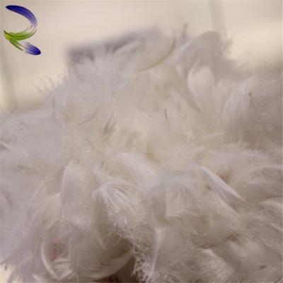 China Quilting white Duck Down Feather export of water wash bedding filling washed Duck Down Feather Duck Feather and down for sale