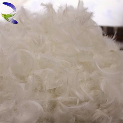 China Christmas china factory high quality fluffy washed white duck / goose down and feather for sale