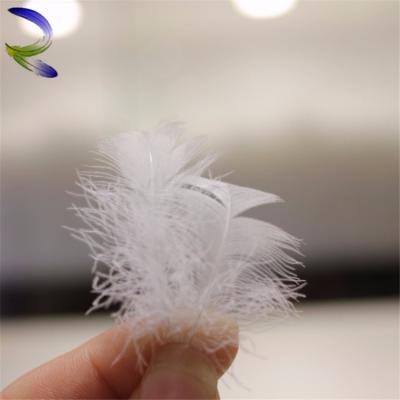 China Low Price Quilting Feather And Down Pillow Inserts Duck Feather for sale