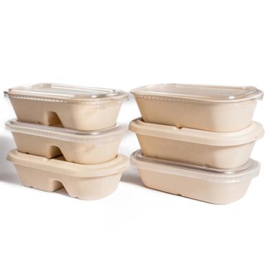 China GCG Sustainable Disposable Tableware Dishes Bowls Box Spoon Container For Food With Lid for sale