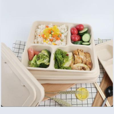 China GCG Biodegradable Compostable Food Storage Container 5 Compartment Take Away Biodegradable Lunch Box for sale