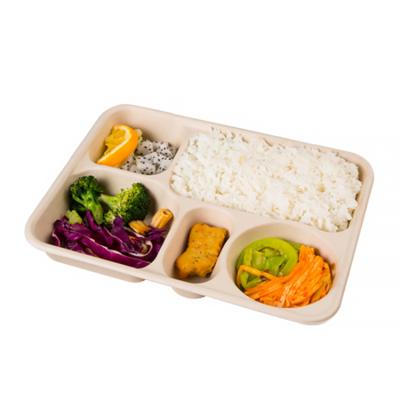 China Durable GCG Food Packing Crate Container For Airline Restaurant Disposable Take Out Fast Food Container for sale