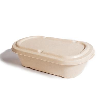 China 500ml Microwavable Degradable Biodegradable Capacity Container Food GCG Disposable Food Bowl for sale