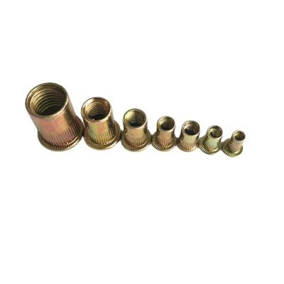 China Industry General Carbon Steel Yellow Galvanized Rivet Blind Nut for sale