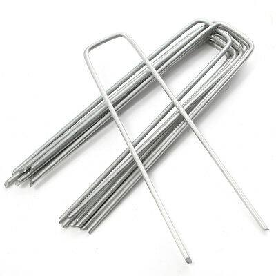 China Carbon Steel PVC Black Zinc Fixed Accessories U Type Clip Pin Nail Tips for sale