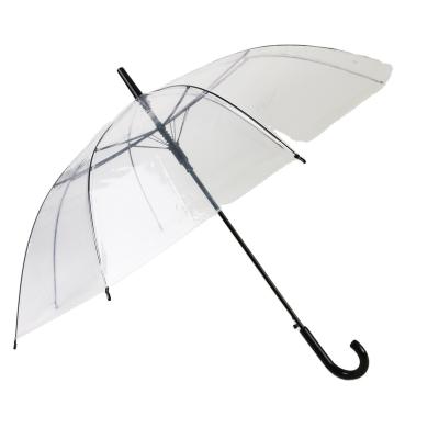 China Wholesale Promotional N-F Agriculture and Business Umbrella Gifts Raining Logo Long Handle Clear Umbrellas Custom Auto Open Umbrella for sale