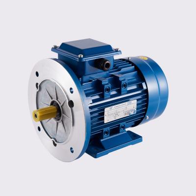 China RAINCOAT ; YE2-100L2-4 High Efficient Squirrel Cage Rotor Three Phase Industry Motor Asynchronous AC Motor for sale