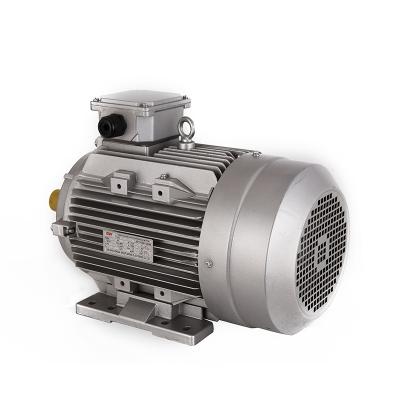 China RAINCOAT ; YE2-90L-4 High Efficient Industry Rotor Stator Motor Three Phase Asynchronous AC Motor for sale