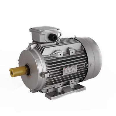 China Fully enclosed high quality Y2 series three-phase induction motor for sale