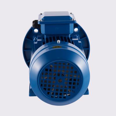 China ANP Series GOST Induction Motor Totally Enclosed Price 3 Phase 20hp Electric Motor for sale