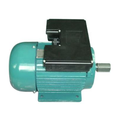 China Fully Enclosed Russia GOST Electric Motor Single Phase YL Series ANPE Series for sale