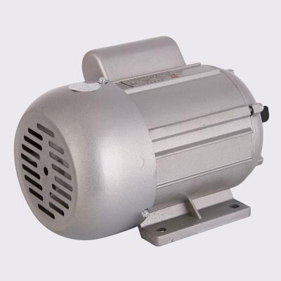 China Raincoat ; YS5624 Hot Sale 0.12Hp Dustproof AC Three Phase Asynchronous Electric Induction Motor for sale