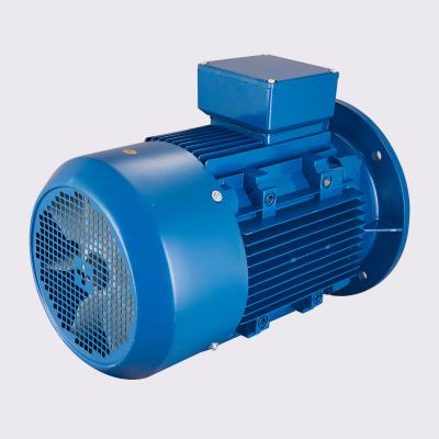 China 380V 7.5Kw 10Hp Three Phase Motor-Generator Totally Enclosed Electric Motor for sale