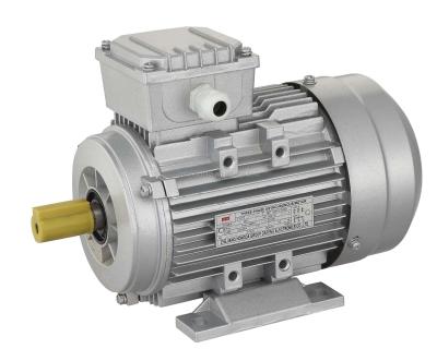 China Yard Totally Sealed Three Pole - Two Speed ​​Asynchronous Motor Changing for sale