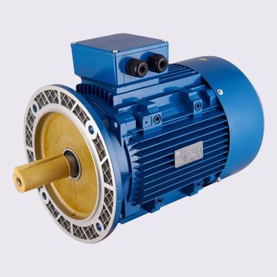 China (Y2-90L4-B5) Y2 Series 4 Totally Enclosed Three Phase Pole Asynchronous Motor for sale