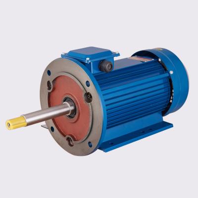 China 20Hp 380/660V Long Shaft Dual Shaft Totally Enclosed Customized Electric Motor for sale