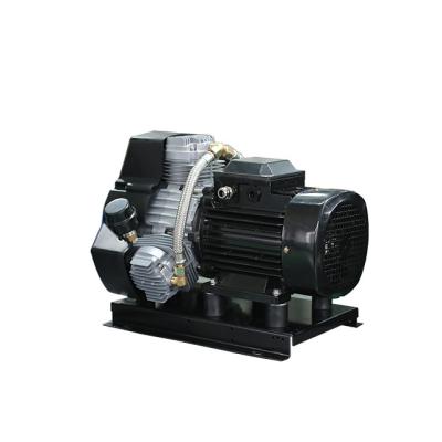 China Oil-Free Made in China Continue Dental Air Compressor Cylinder Air Compressor 150L Air Compressor Oil-fre for sale