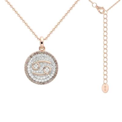 China 2021 Hot Sale Trendy Fashion Stylish Rose Gold CZ Zircon Korean Casual Necklace for sale