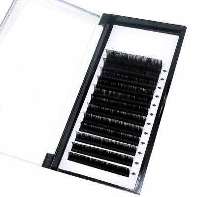 China Soft High End Soft Mink Material Black Individual Eyelash Extension Classic False Eyelashes Graft Eyelashes for sale