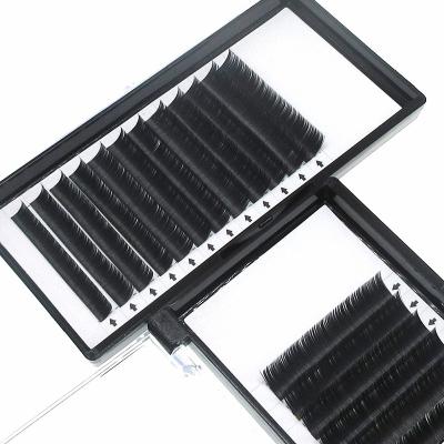 China New Soft Natural Flat Eyelash Extensions Customized Eyelash Large Capacity Eyelash Extensions for sale