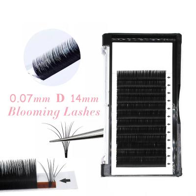 China Velvet Lashes Korean Custom Wholesale Price Velvet Premium Than Silk False Eye Lashes Different Black Eyelash Extensions False Eyelashes for sale