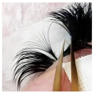 China Premade Bulk Eyelash Extension Long Various Natural High Quality Professional Volume Curl And Length Loosen Volume Fans Eyelash Extension for sale