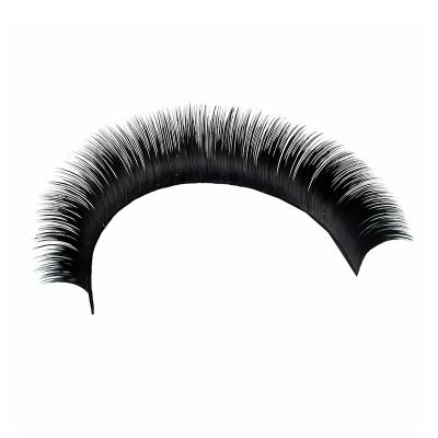 China Diy Soft Helix Shaped Eyelash Extension Multi-specification Eyelash Extension Wholesale Price Curling Eyelashes for sale