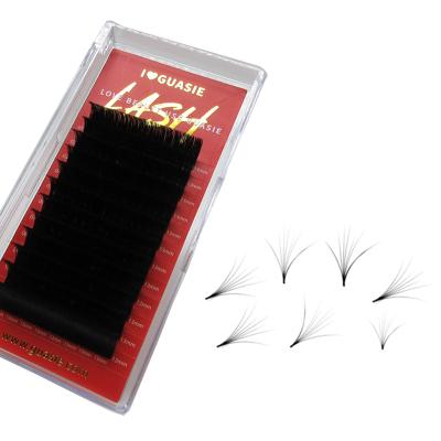 China Fast Blossom Stable Loop Private Label Mink Lashes 0.03 0.05 0.07 Russian Mega Volume Easy Fan Eyelash Extensions for sale