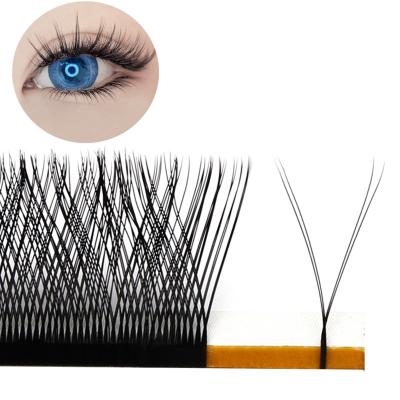 China Long Double Layers 4D Y Shape 2d Eyelash Individual Volume Lash Extension Natural Private Label Extensions For Makeup Eyelash Extensionsuppl for sale