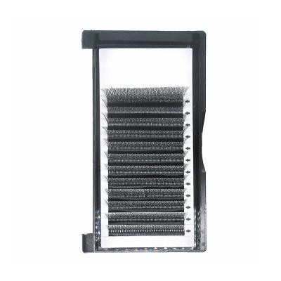 China Soft Newly Designed Multi-specification W-shaped Eyelash Extension 0.07 Thick Graft Eyelashes for sale