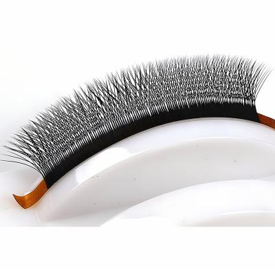 China New Design 3D Clover Eyelashes Soft Mink Curly Eyelashes Large Capacity Eyelash Extensions for sale