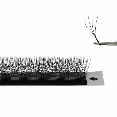 China Soft Fashion 4D Mink Eyelashes Modern Four Leaf Clover Grafted Thick False Eyelashes Eyelashes Extension for sale