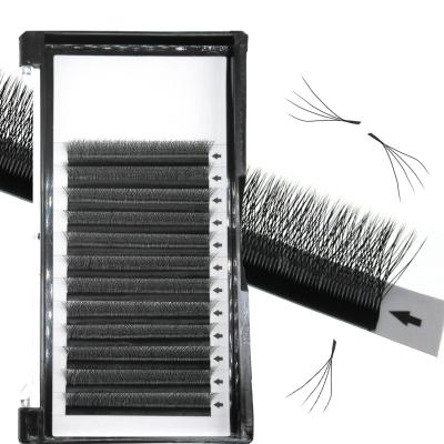 China 2022 New Arrival Super Soft 4D Fan 4D Four Leaf Clover Automatic Four Leaf Clover Grafting False Eyelashes For Beauty Salon for sale