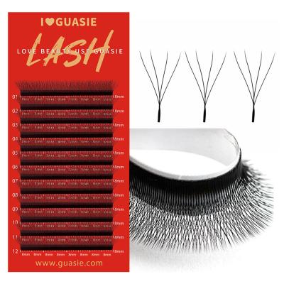 China New Arrival Long Natural Volume Four Leaf Clover Lashes 4D W Shape Eyelash Extensions Natural Custom for sale