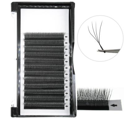 China 4D Korean Easy Lash Four Leaf Clover Lashes 3D 4D 5D 0.07 Fan Four Leaf Clover PBT Korean Easy Volume Fans Eyelash Extensions for sale