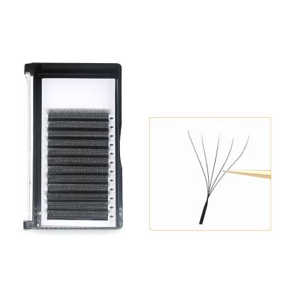 China 5D Five Leaf Clover False Eyelashes 0.05 Tapered And Soft Highlights 5D Fans Eyelash Extension Premade For Individual Beauty Lash Shop for sale