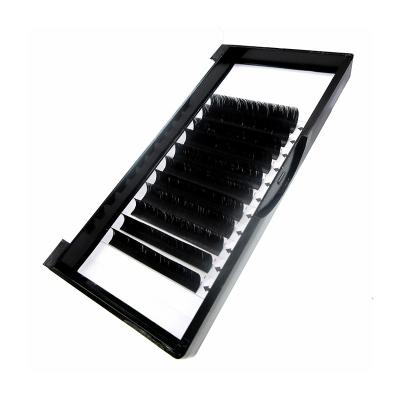 China Factory Direct Selling 8-12mix 8-15mix Mink Eyelash Extensions Korean Grafted Soft Eyelashes for sale