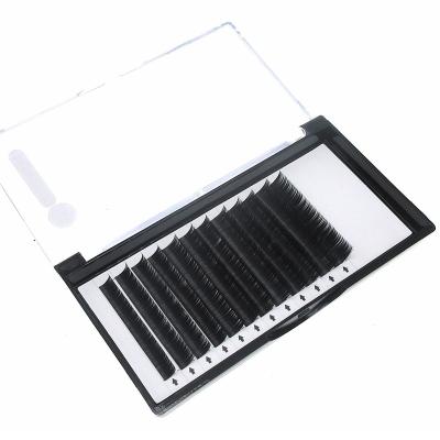 China New Design Smooth Slot Tips Flat Eyelash Extension Black Large Capacity Eyelash Extensions for sale