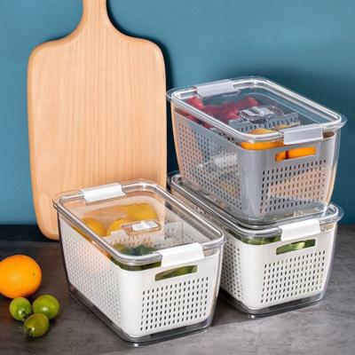 China Hot Selling Minimalist Eco-friendly Plastic Vegetable Storage Boxes Basket Drain Fruit Storage Dish Rack Plastic Baskets With Lid for sale