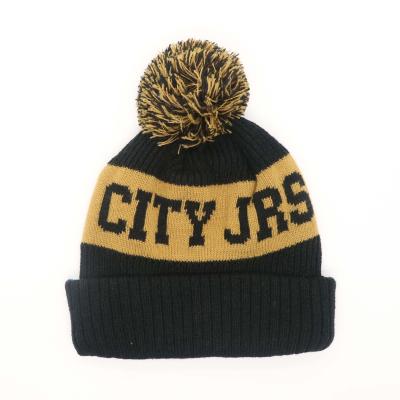 China Upgrade Winter Accessories With Knitted Pom Pom Hat And 100% Acrylic Wool Lining for sale