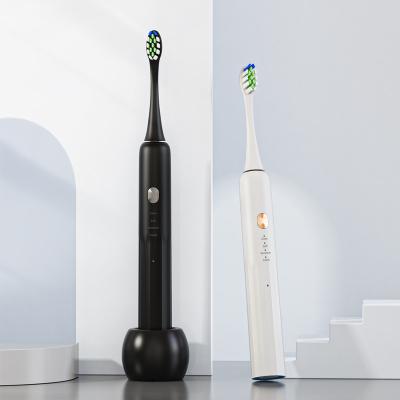 China Wholesale Price Home Appliance Rechargeable Electric Electric Toothbrush with IPX7 for sale