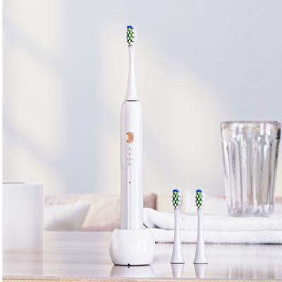 China SARMOCARE Electric Toothbrush Home Motor Automatic Toothbrush for sale