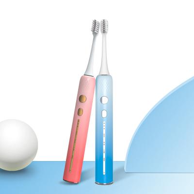 China New Design S810 ABS+PP Food Grade APET Rechargeable Black Teeth Brush Sonic Electric Toothbrush for sale