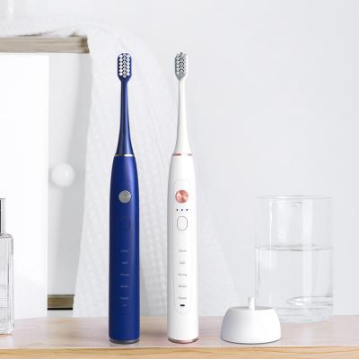 China Shenzhen SARMOCARE Quality Products S700 Electric Toothbrush Chinese Motor Battery Operated Electric Toothbrush for sale