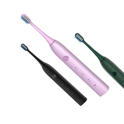 China Shenzhen SARMOCARE Battery Operated Electric Teeth Brushes Cordless Electric Toothbrush Sonic Brushes for sale