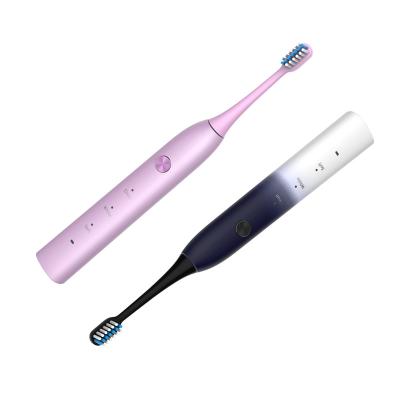 China Battery Powered Waterproof Electric Toothbrush Price Manufacturer In China for sale