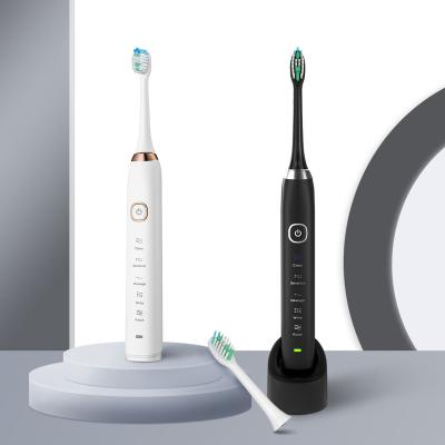 China Battery Operated Rechargeable Tooth Whitening Adult Professional Electric Toothbrush for sale